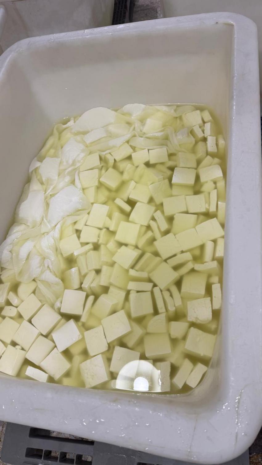 الغذاء والدواء تغلق مصنع ألبان لاستخدامه الحليب المجفف ..  (صور)