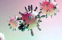 “لاني “ ..  فيروس جديد يظهر في الصين