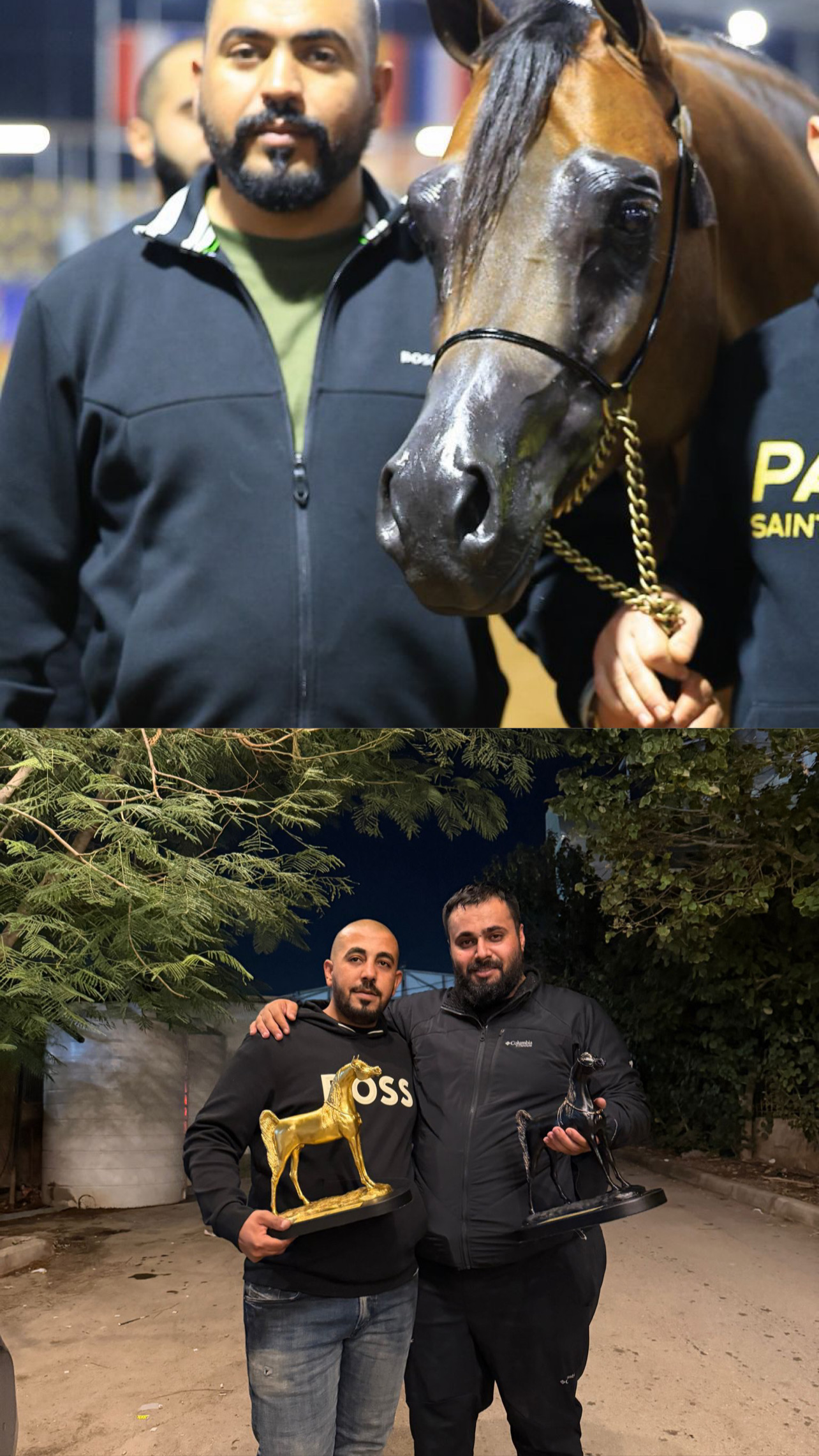 «رواف البداير» يتوج بالمركز الأول في مسابقة جمال الخيل الفلسطينية بأريحا