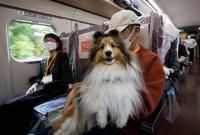 رحلة مخصصة للكلاب على قطار سريع في اليابان