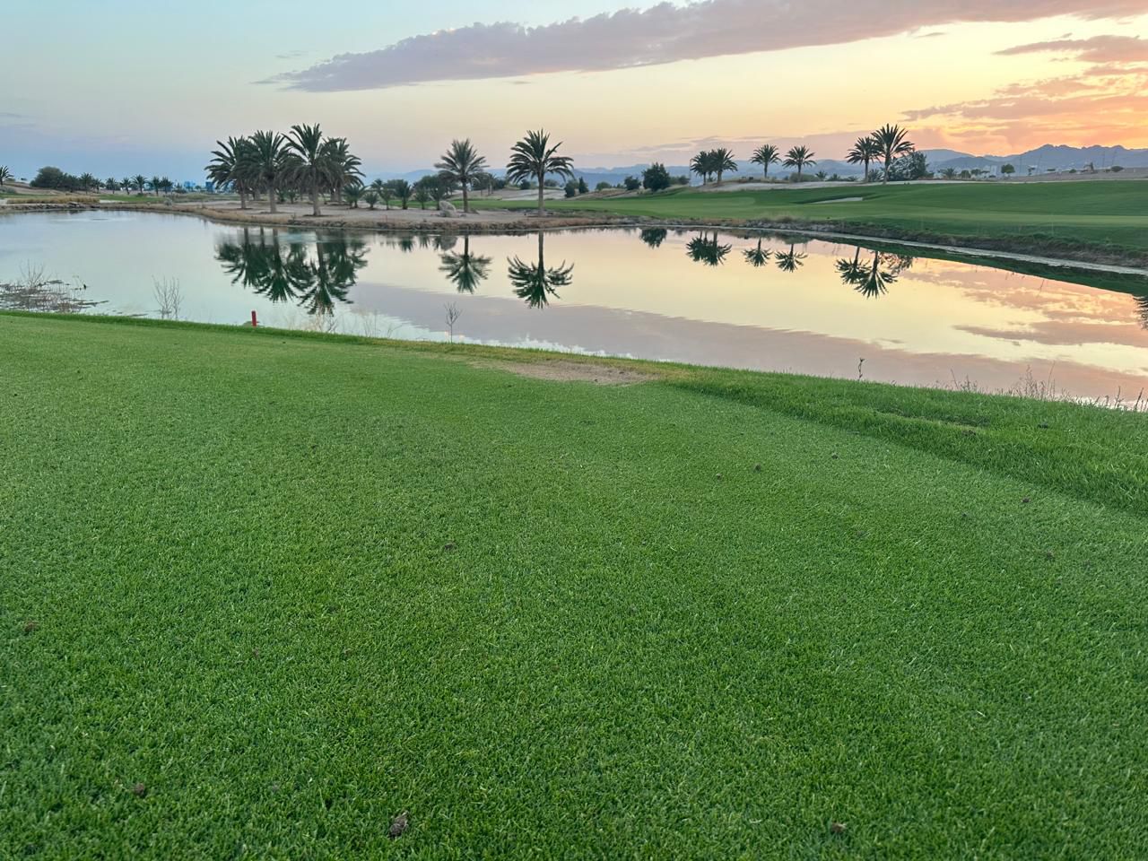 واحة أيلة تصدر تقرير الاستدامة 2024: "مياه زرقاء، ورؤية خضراء"